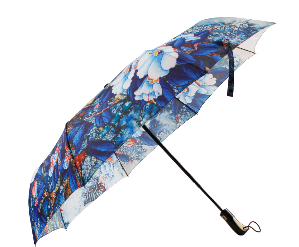 個(gè)性雨傘